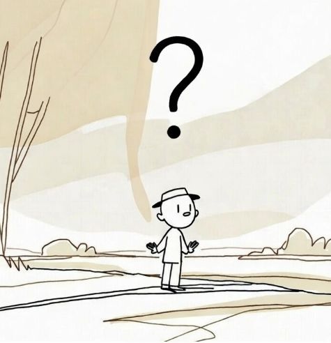 Les plus belles questions de vie